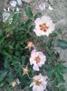 20150603_165258