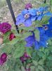 20150603_165959