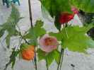 SAM_5670