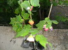 SAM_5671