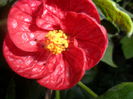 SAM_5637