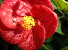 SAM_5638