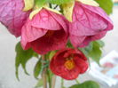 SAM_5640