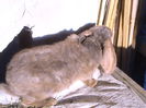 DSC08762