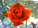 IMG_20150604_114224