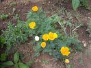 my photo 350