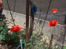 my photo 362