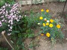 my photo 365