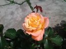 20150603_224251