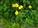 DSCN8895