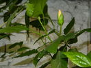 DSCN8939
