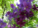 DSCN8989
