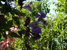 DSCN8992