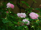 DSCN9016