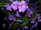 DSCN9053