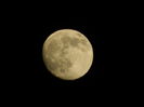 DSCN9055