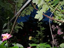 DSCN9066