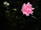 DSCN9070