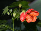 DSCN9073
