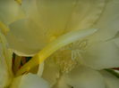 DSCN9103