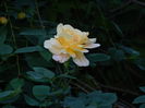 DSCN9150