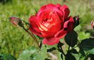 31 mai, Docteurs Massad