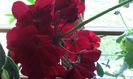 20150604_061700