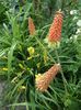 SAM_7586