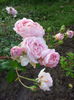 Abraham Darby