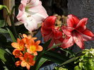 DSC01406