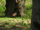 IMGA0665