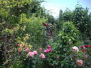 IMGP8556