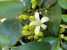 DSC01405