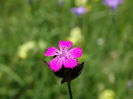DSC01208