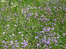 DSC01193