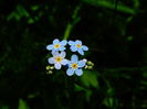 DSC01172