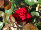 DSC01387