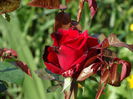 DSC01395