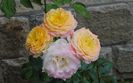 gartenspass_kordes
