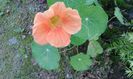 20150604_064035
