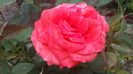 20150531_151415
