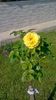 WP_20150603_17_05_20_Pro