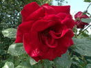 DSC08556