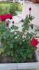 WP_20150524_19_31_17_Pro