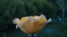 DSC09670