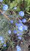 20150604_064415