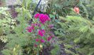 20150604_064451