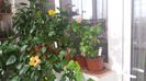 20150605_080032