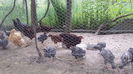 20150605_190748