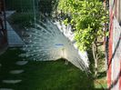 DSC00055